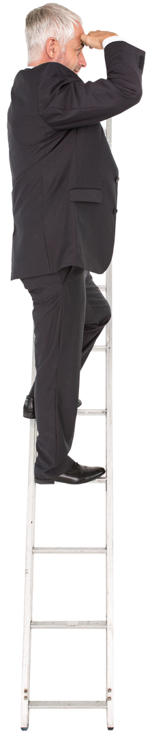 Transparent Businessman Climbing Ladder and Looking Forward - Download Free Stock Images Pikwizard.com