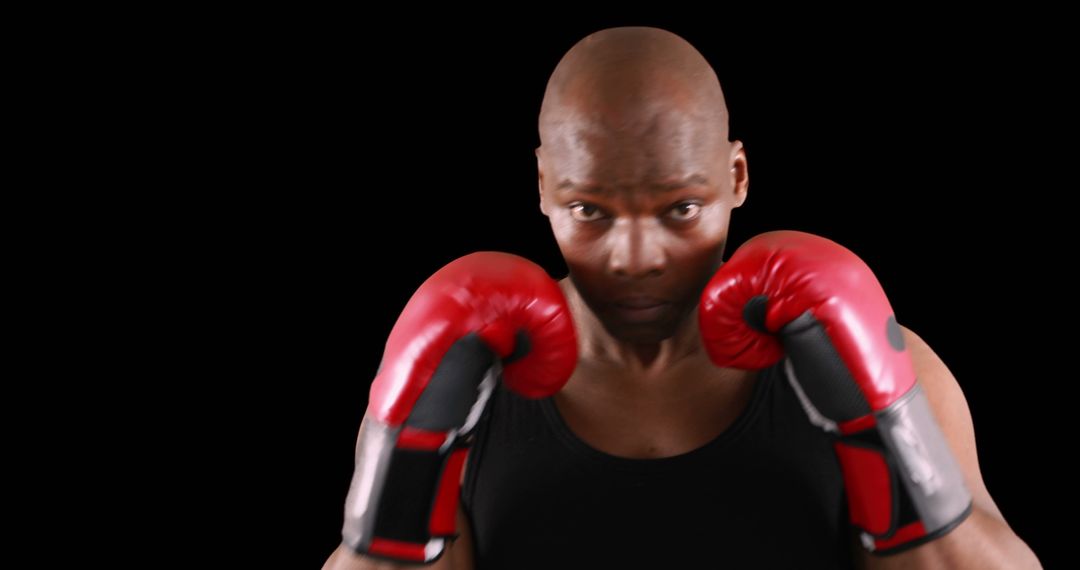 Focused Boxer with Red Gloves in Fighting Stance - Free Images, Stock Photos and Pictures on Pikwizard.com