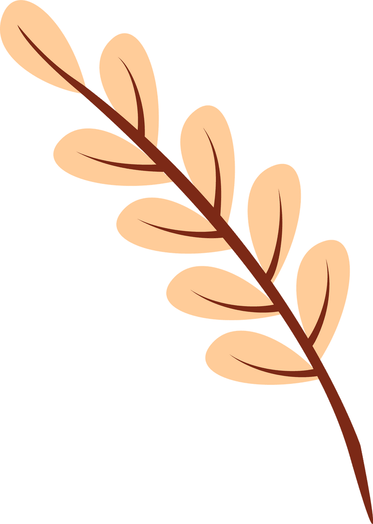 Minimalist Botanical Twig with Peach Leaves on Transparent Background