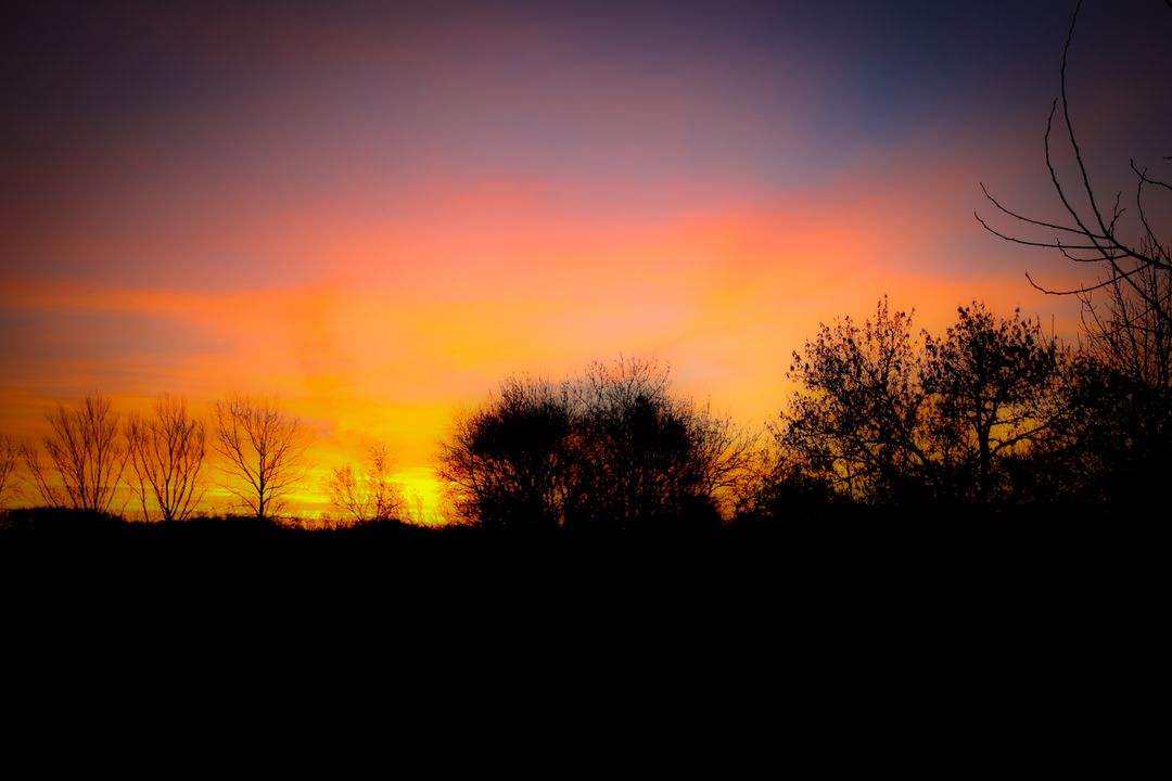 Vibrant Sunset Over Silhouetted Trees with Color Gradient Sky - Free Images, Stock Photos and Pictures on Pikwizard.com