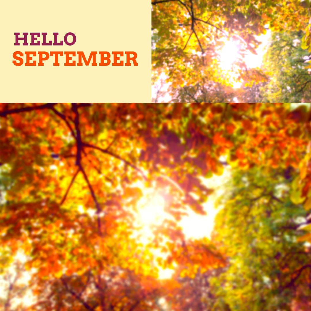 Hello September Autumn Foliage with Sunburst Creativity