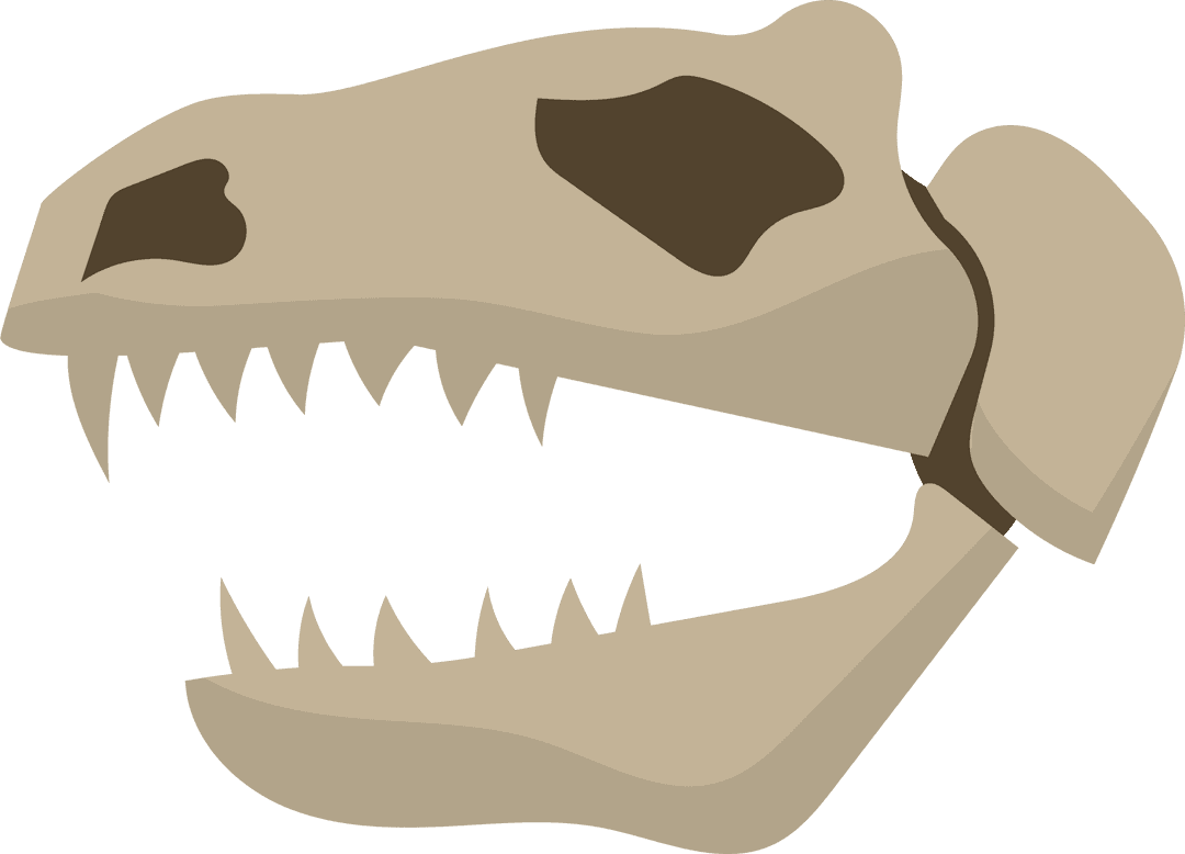 Theropod Dinosaur Skull Fossil in Vector Art Style on Transparent Background