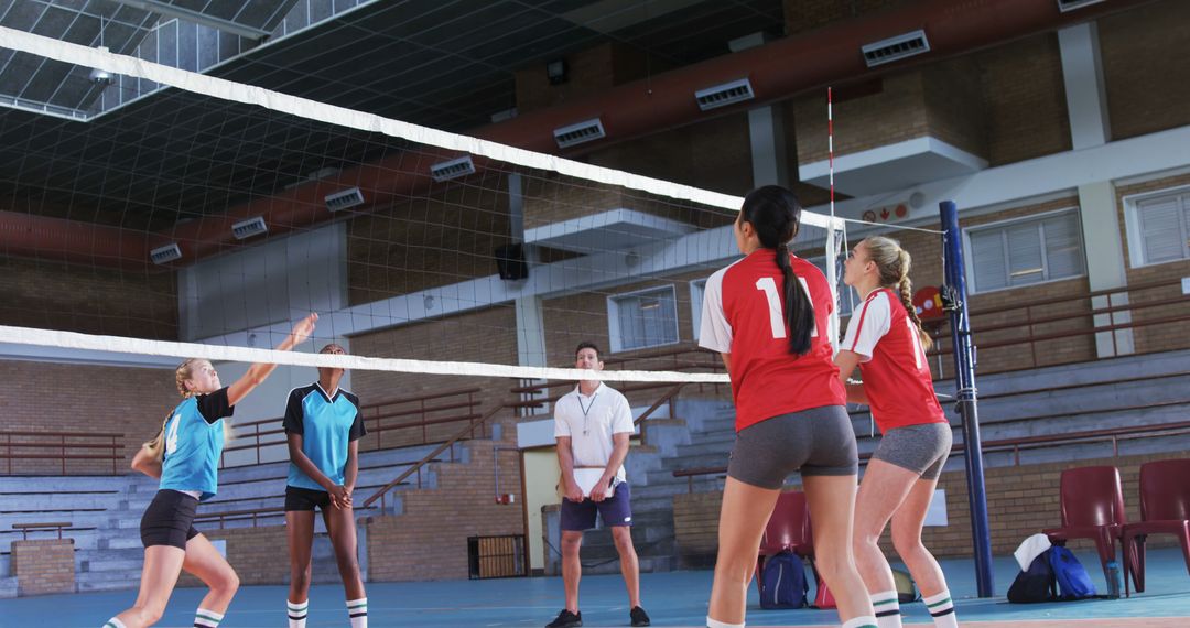 Female Volleyball Team Playing Match in Indoor Gym - Free Images, Stock Photos and Pictures on Pikwizard.com