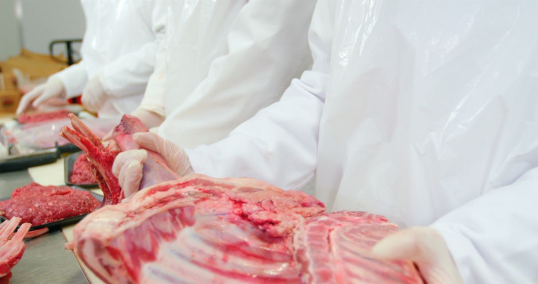 Butchers Processing Meat in Hygienic Factory Environment - Free Images, Stock Photos and Pictures on Pikwizard.com