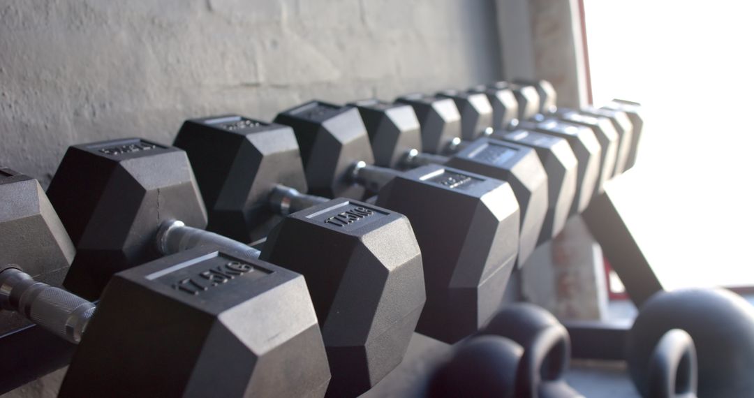 Gym Dumbbell Rack in Natural Sunlight