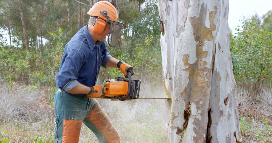 A man exemplifies safety by wearing gear while felling a tree with a chainsaw. - Free Images, Stock Photos and Pictures on Pikwizard.com