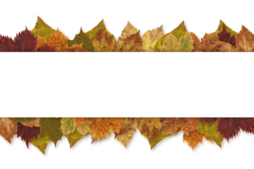 Transparent Autumn Leaves with Blank Stripe for Text Overlay