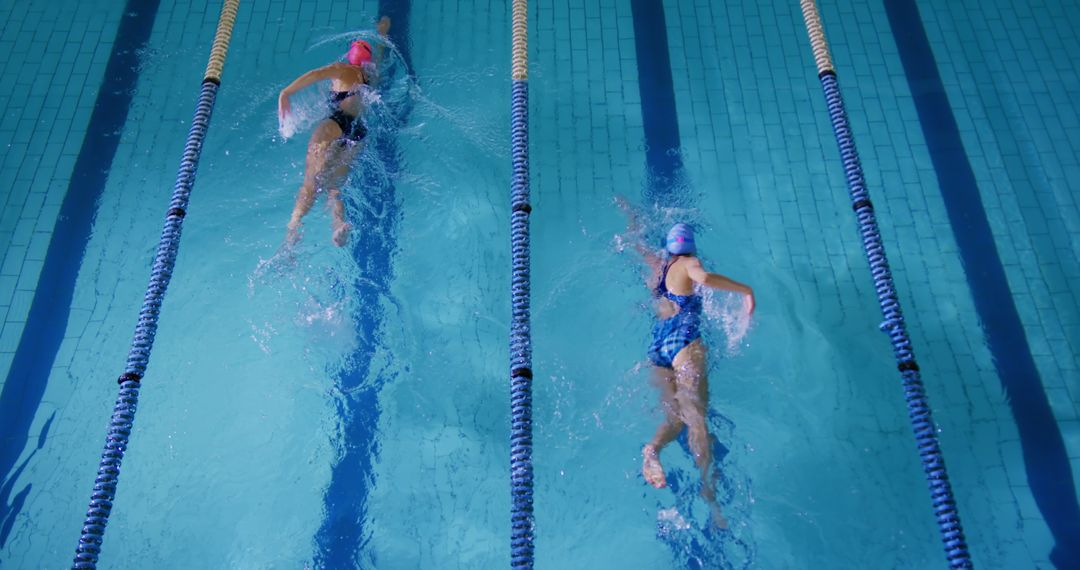 Female Swimmers Competing in Olympic Pool Race from Above - Free Images, Stock Photos and Pictures on Pikwizard.com