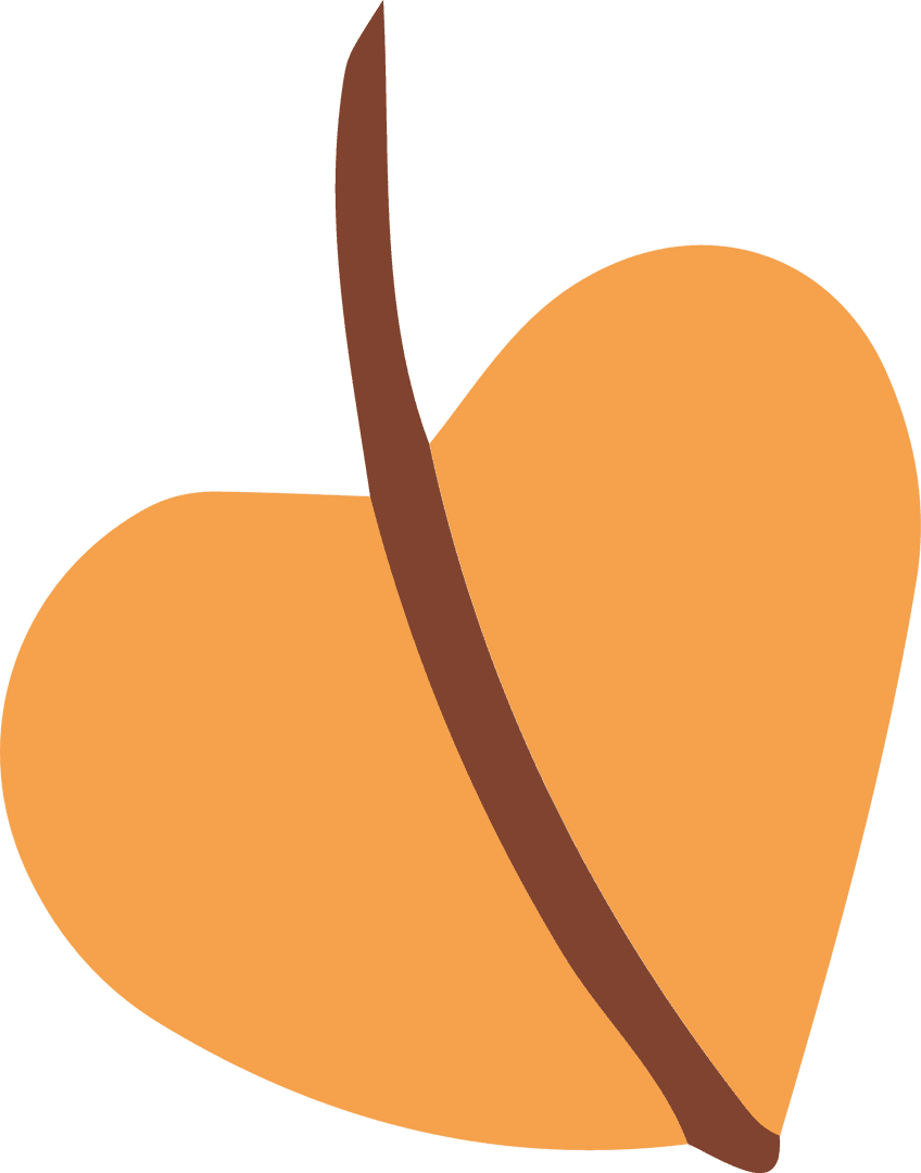 Flat Design Peach Fruit with Brown Seam on Transparent Background