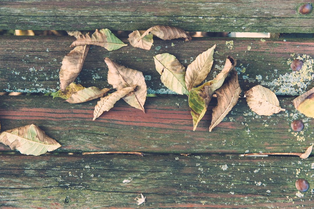 Fallen Autumn Leaves on Rustic Wooden Planks - Free Images, Stock Photos and Pictures on Pikwizard.com