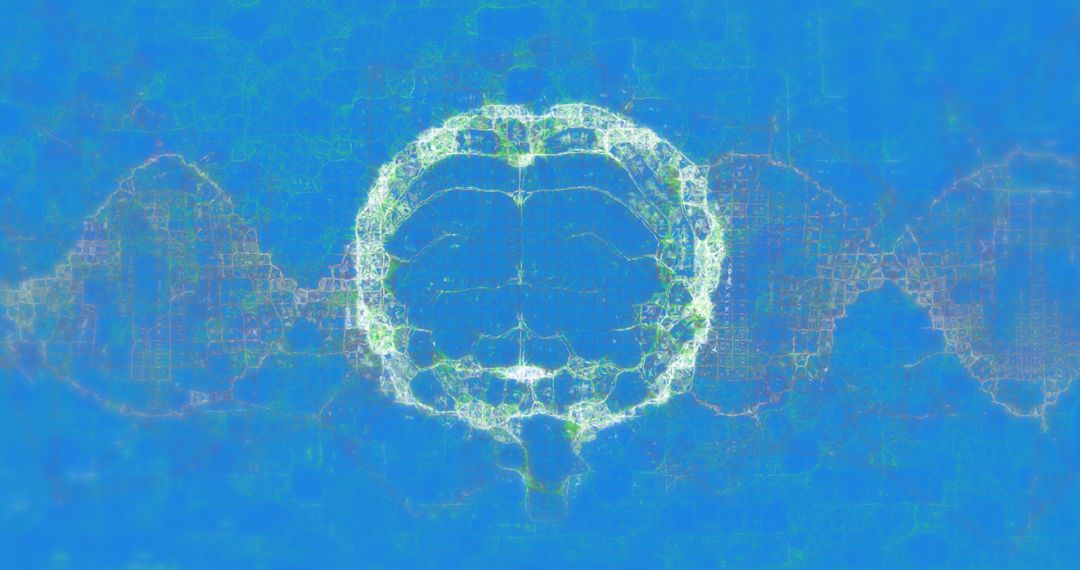 Digitized Human Brain and Spinning DNA Strand