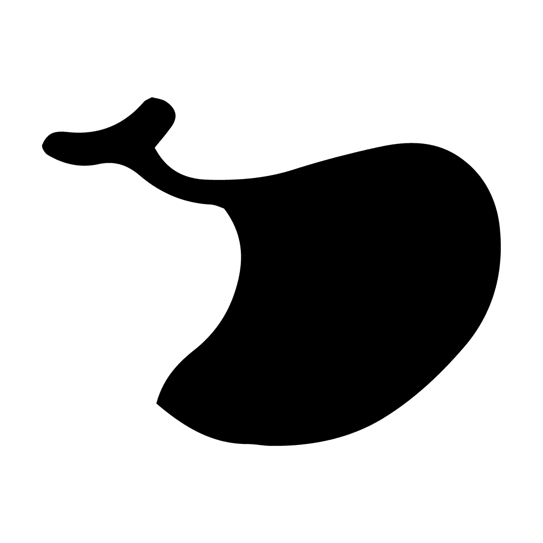 Transparent Wireframe Representation of Human Mouth