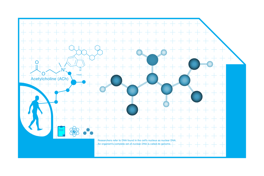 abstract digital interface with molecule structure on transparent background - Download Free Stock Images Pikwizard.com