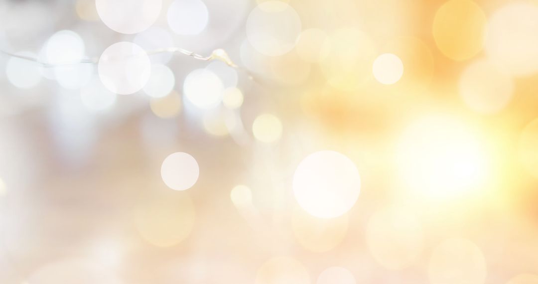 Dreamy Light Bokeh with Sunlit Colors and Branches