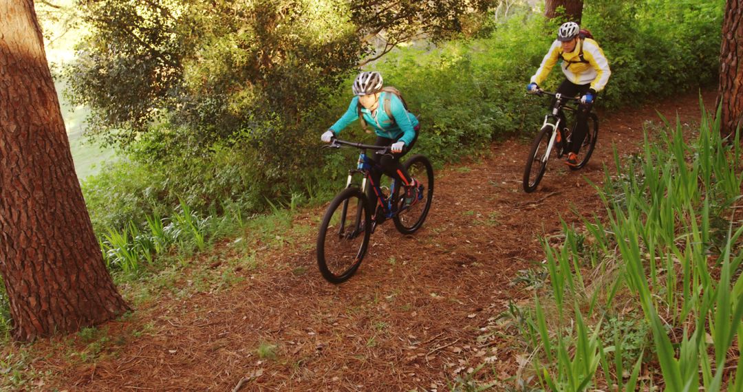 Cyclists Riding Mountain Bikes on Forest Trail - Free Images, Stock Photos and Pictures on Pikwizard.com