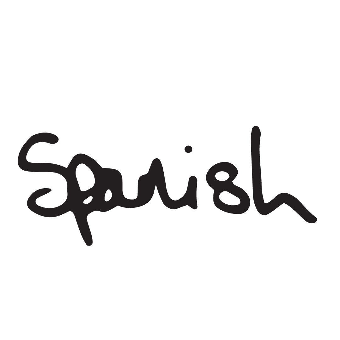 Spanish Text Hand Drawn on Transparent Background