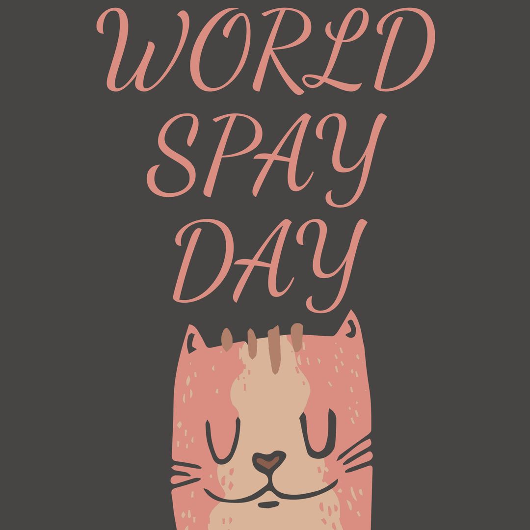 World Spay Day Cat Illustration Promoting Animal Welfare