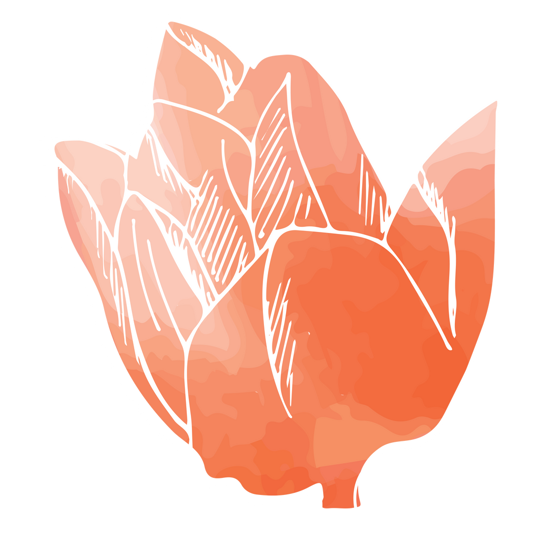 Pink Flower Transparent Vector Illustration Emphasizing Nature and Beauty - Download Free Stock Images Pikwizard.com