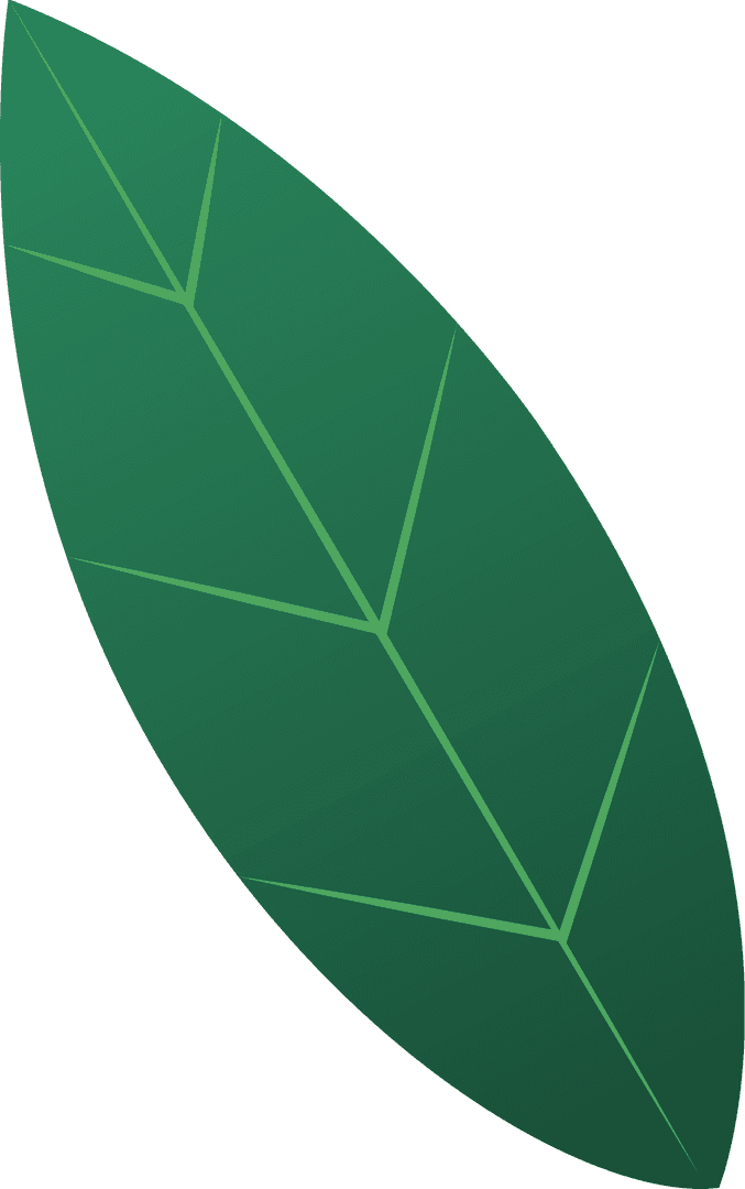 Green Leaf Illustration Isolated on Transparent Background
