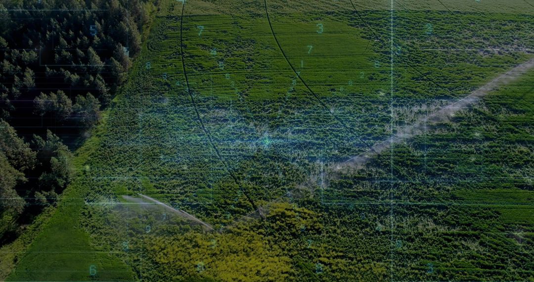 Digital Overcast View of Irrigated Farmland with Sprinklers and Pathway
