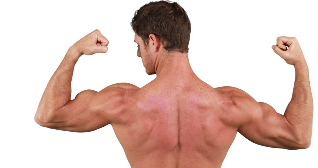 Muscular Man Flexing Back Muscles on White Background - Free Images, Stock Photos and Pictures on Pikwizard.com