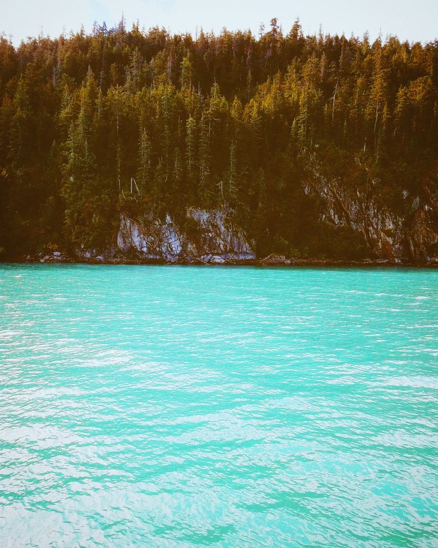 Calm Turquoise Waters with Dense Pine Forest Background - Free Images, Stock Photos and Pictures on Pikwizard.com