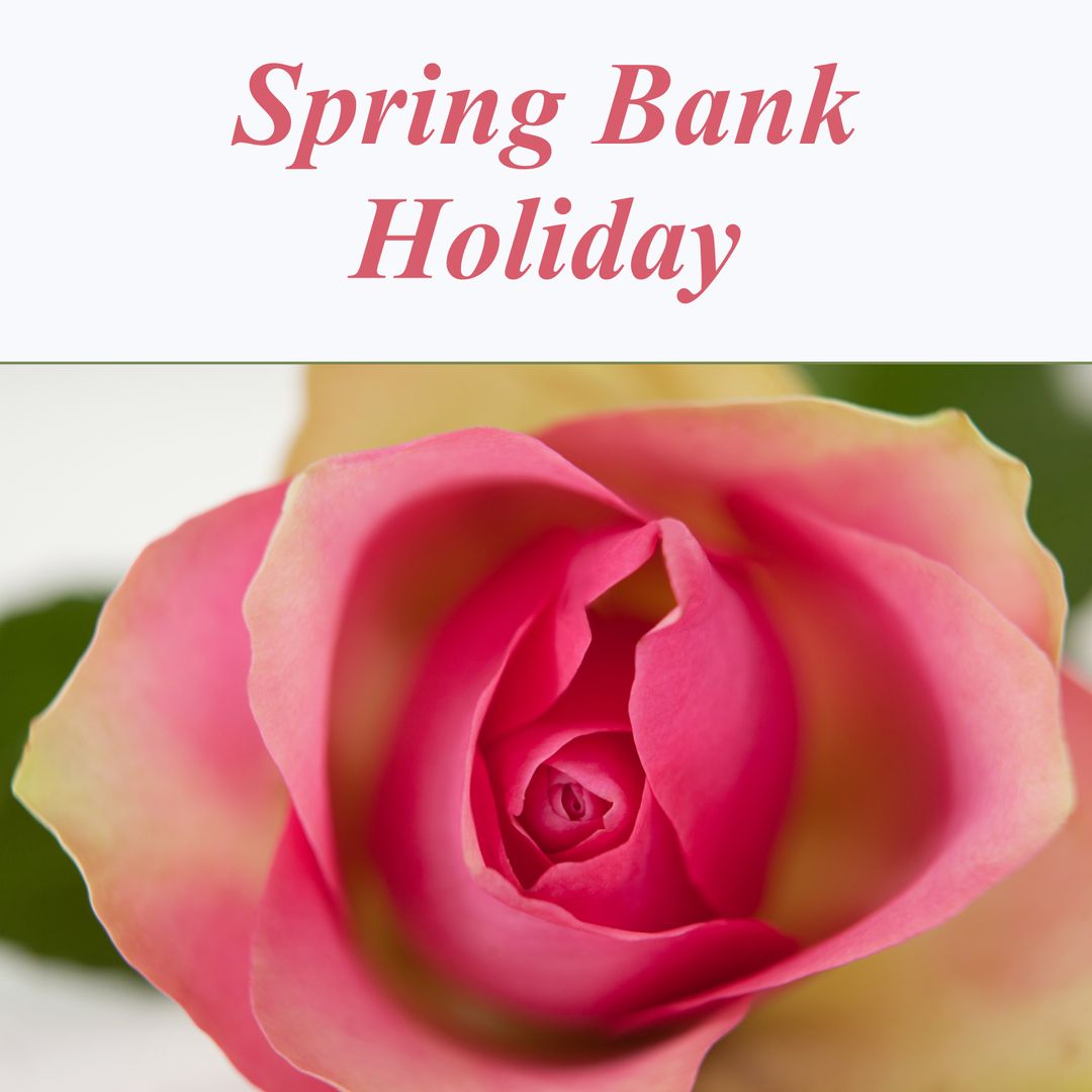 Spring Bank Holiday Text with Pink Rose Close-up