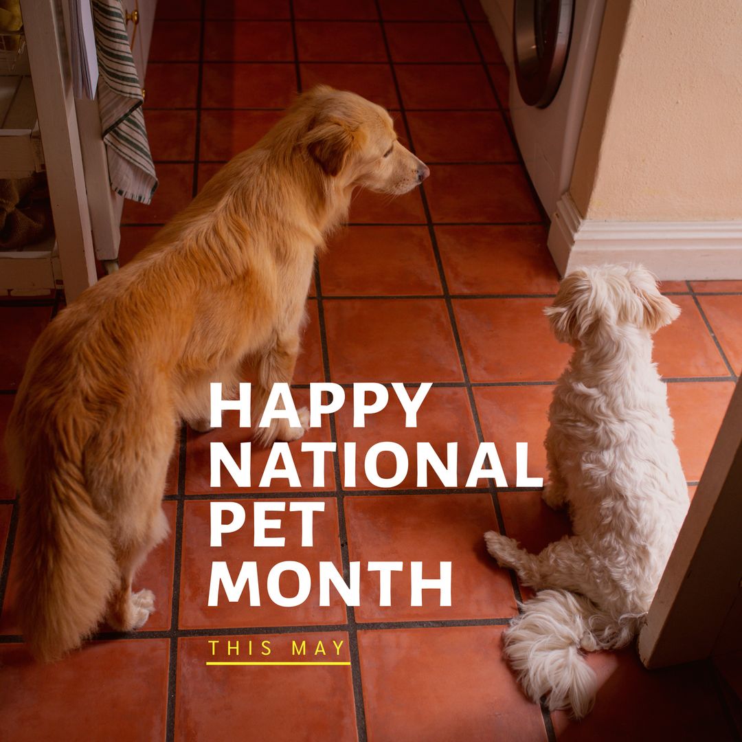 Two Dogs Celebrating National Pet Month Indoors - Download Free Stock Templates Pikwizard.com