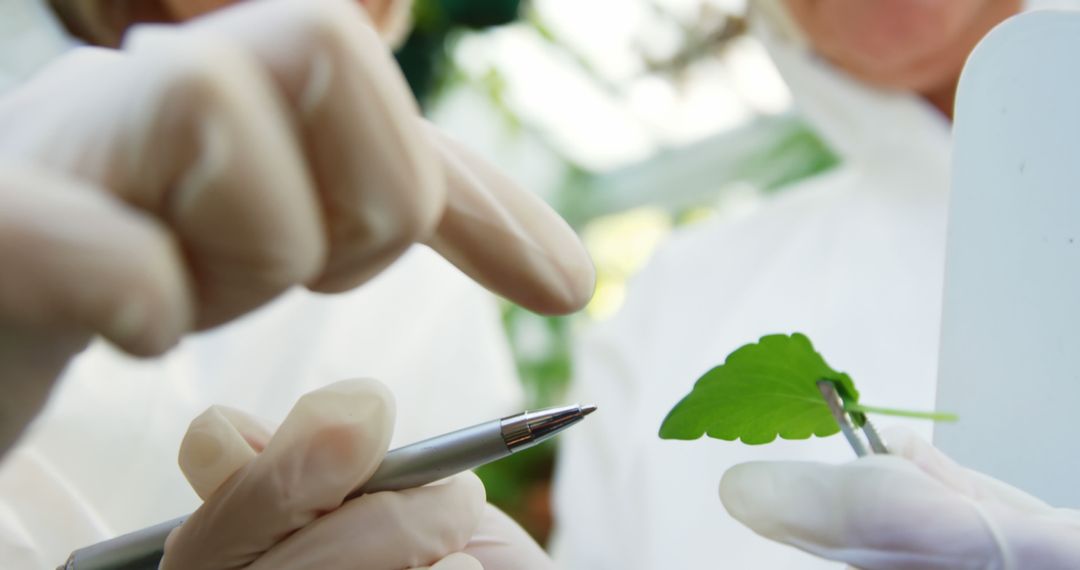 Scientists Analyzing Plant Leaf Sample in Laboratory - Free Images, Stock Photos and Pictures on Pikwizard.com