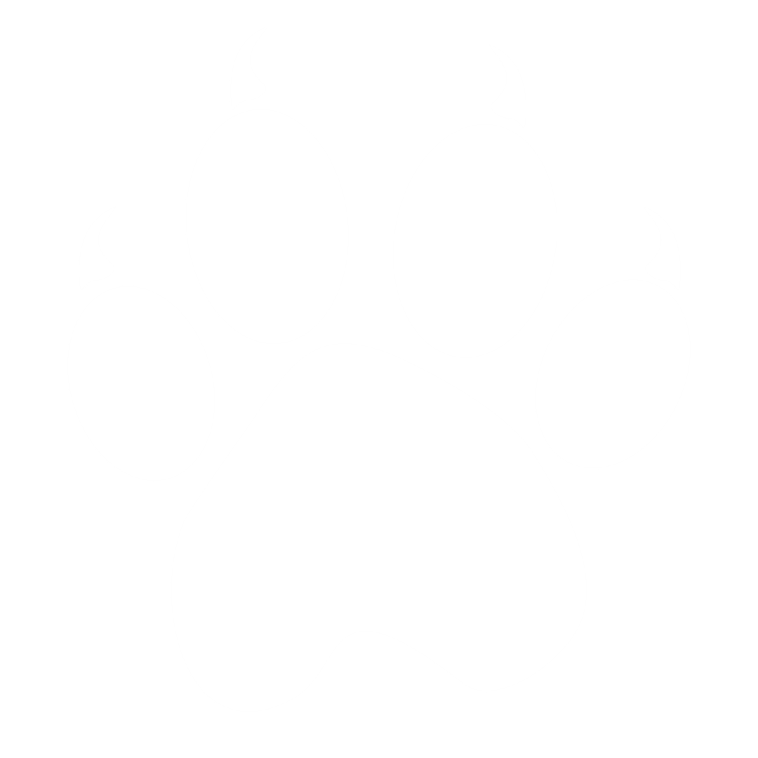 White Animal Paw Print Icon on Transparent Background