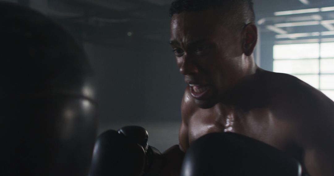 Focused Boxer Training with Punching Bag in Dark Gym - Free Images, Stock Photos and Pictures on Pikwizard.com