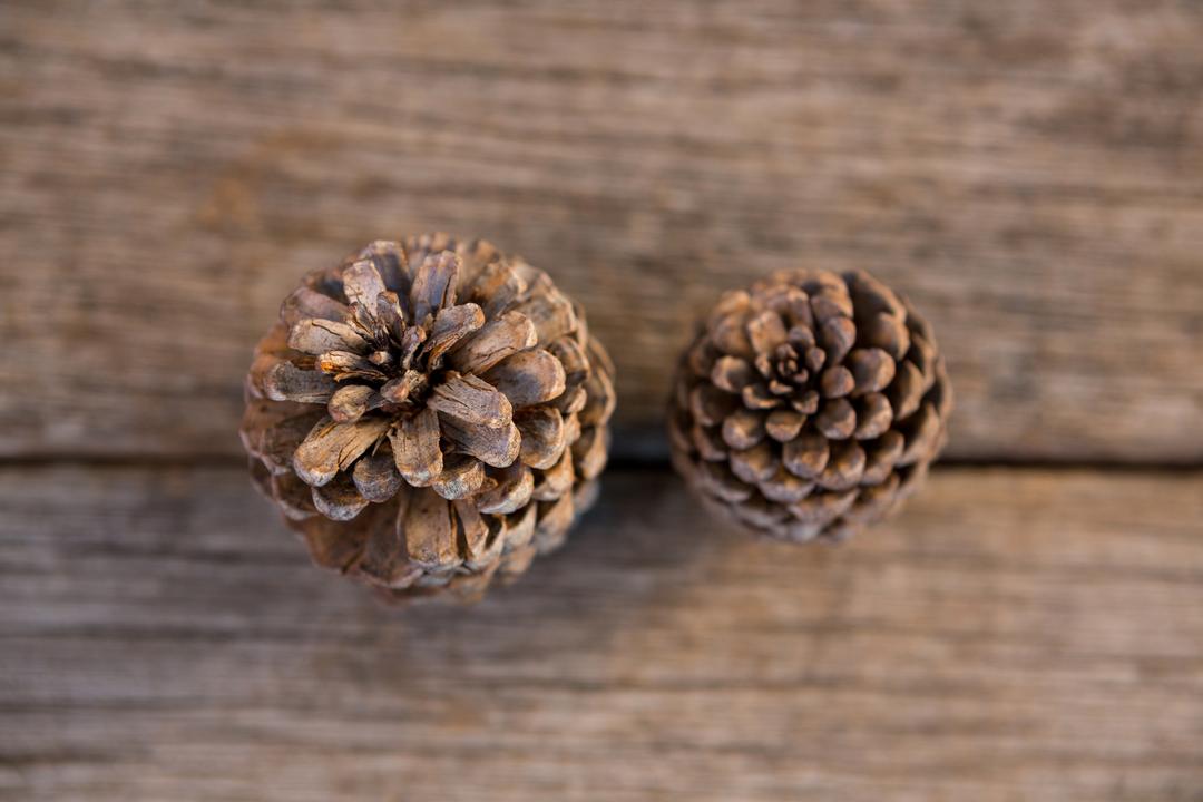 Two Pine Cones on Rustic Wooden Surface - Free Images, Stock Photos and Pictures on Pikwizard.com