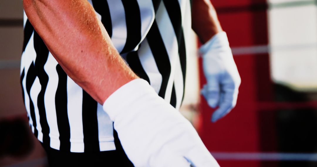 Referee Wearing White Gloves in a Sports Arena - Free Images, Stock Photos and Pictures on Pikwizard.com