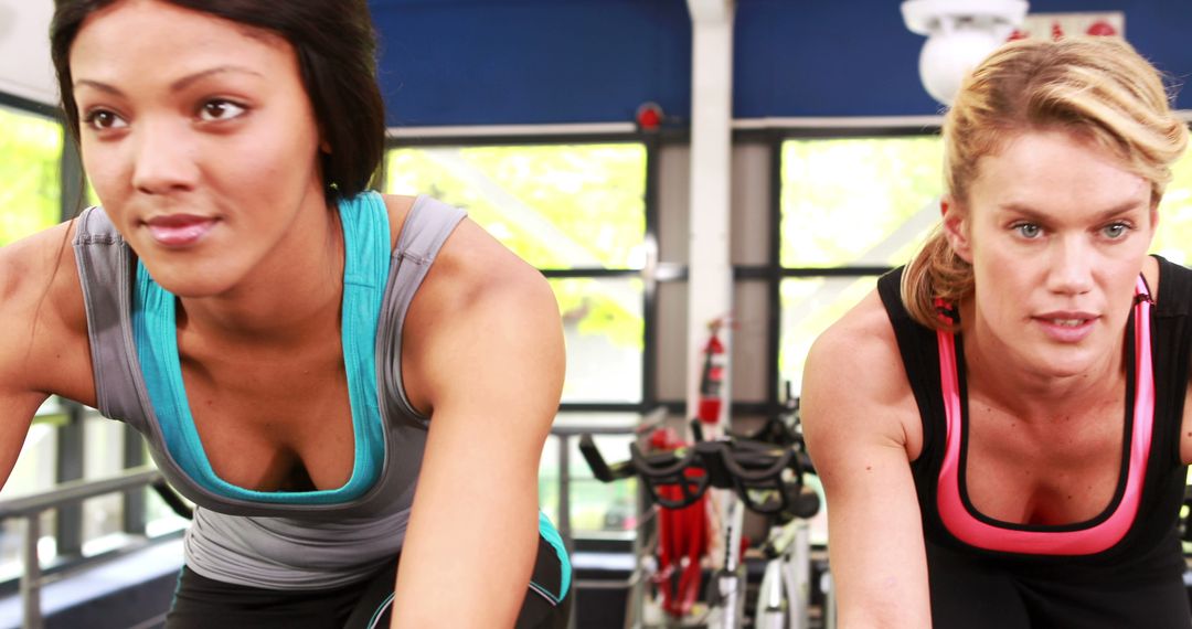 Women Working Out on Exercise Bikes in Gym - Free Images, Stock Photos and Pictures on Pikwizard.com