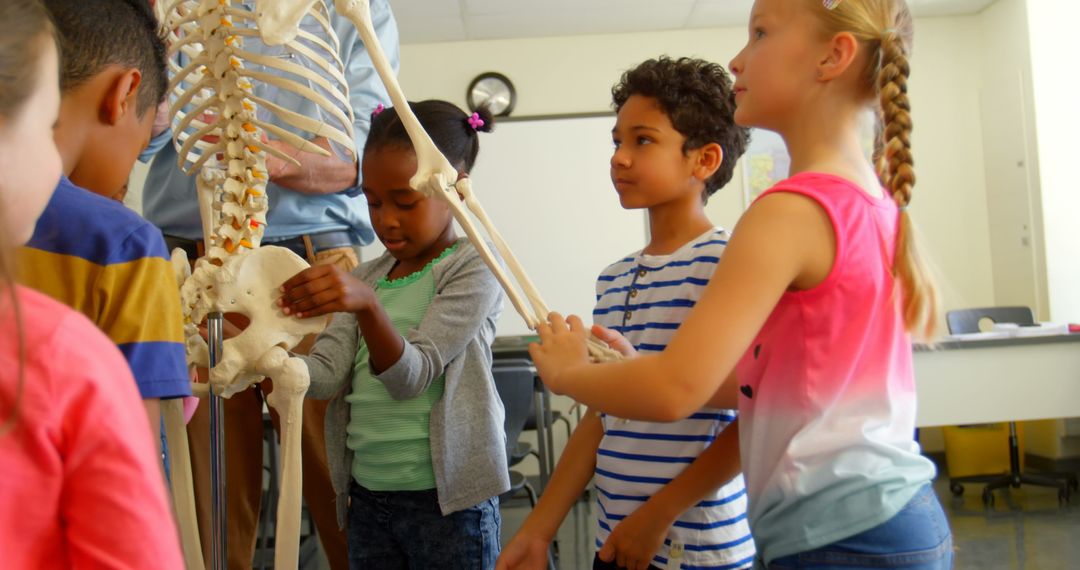 School Children Exploring Human Skeleton Model in Classroom