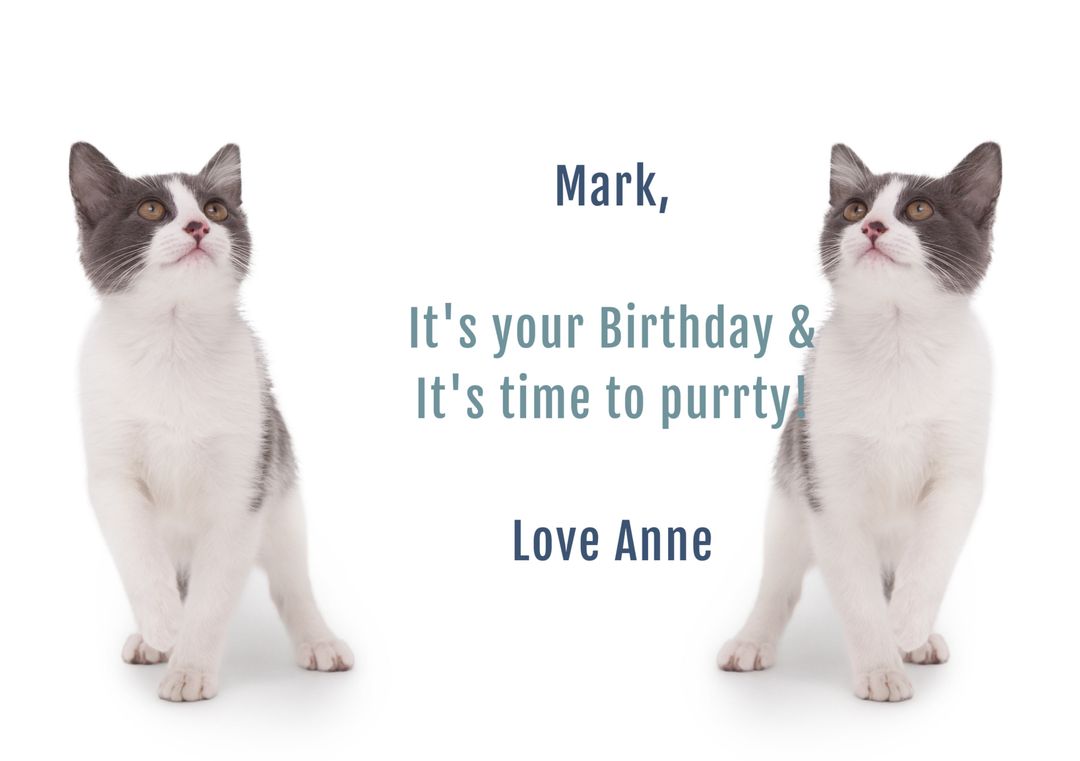 Playful Birthday Greeting With Two Adorable Cats - Download Free Stock Templates Pikwizard.com