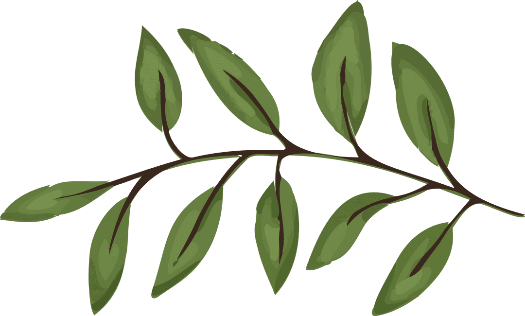 Stylized Botanical Branch with Green Leaves on Transparent Background