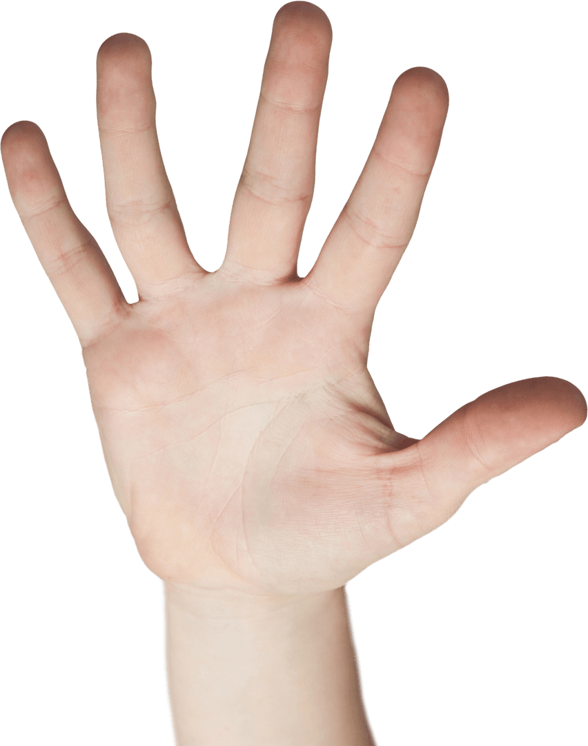 Woman's Hand with Open Palm on Transparent Background