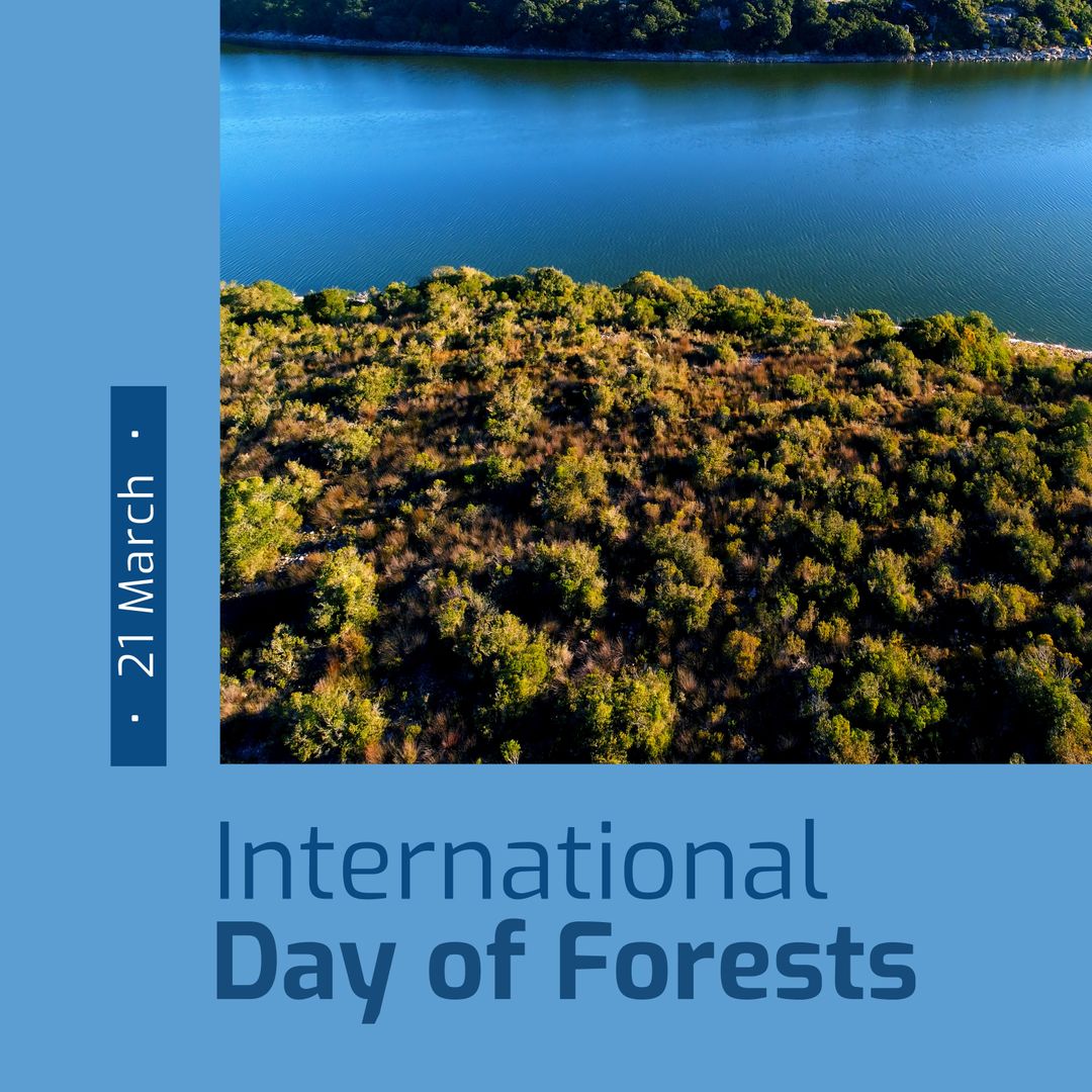 Aerial View of Forest and River Celebrating International Day of Forests