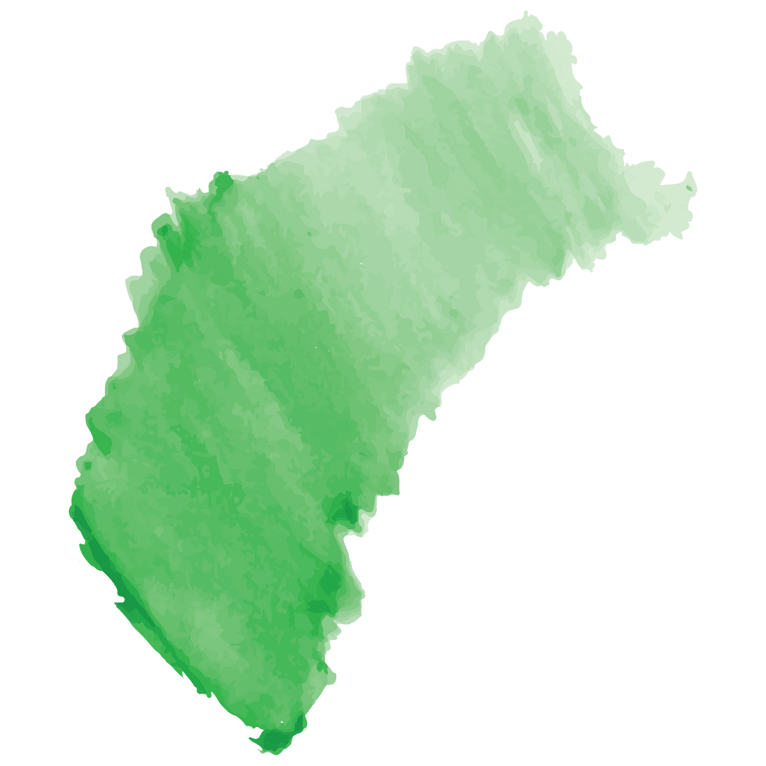 Abstract green texture colored on transparent background