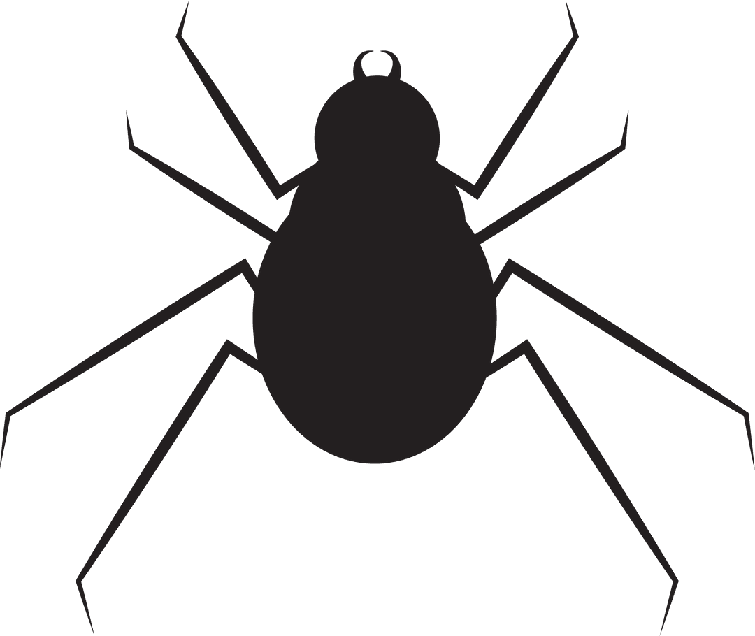 Spider Illustration with Transparent Background for Symbol Concepts