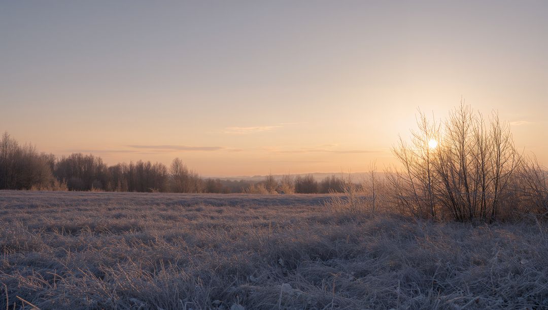 Hoarfrost glowing on meadow at sunrise with backlit leafless shrubs and distant treeline