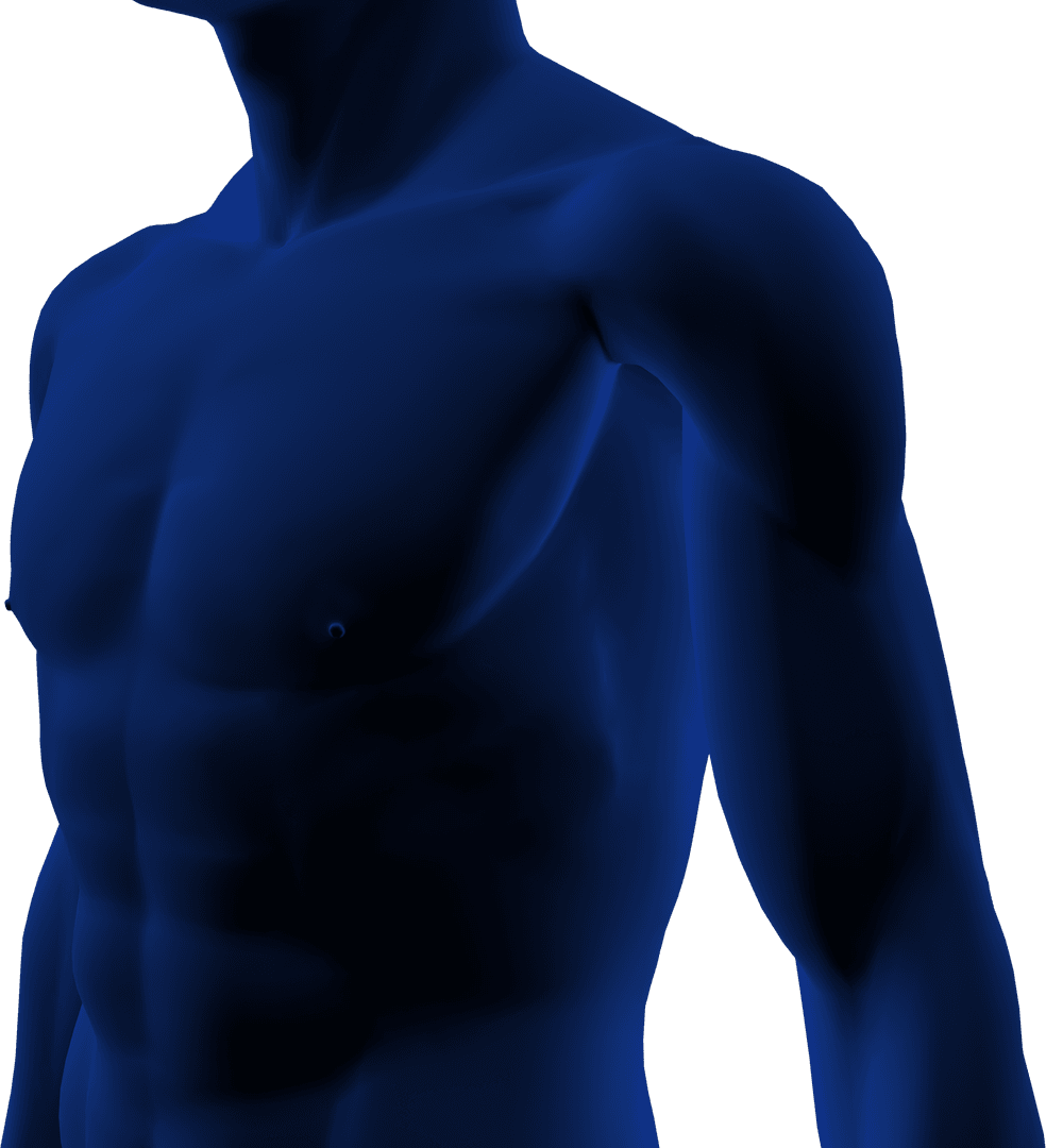 Blue Digital Human Torso on Transparent Background Illustration