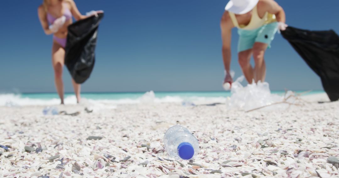 Volunteers cleaning beach collecting plastic waste and litter - Free Images, Stock Photos and Pictures on Pikwizard.com