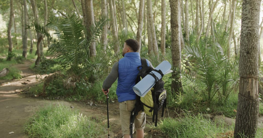 Man Exploring Forest Wilderness While Hiking Outdoors