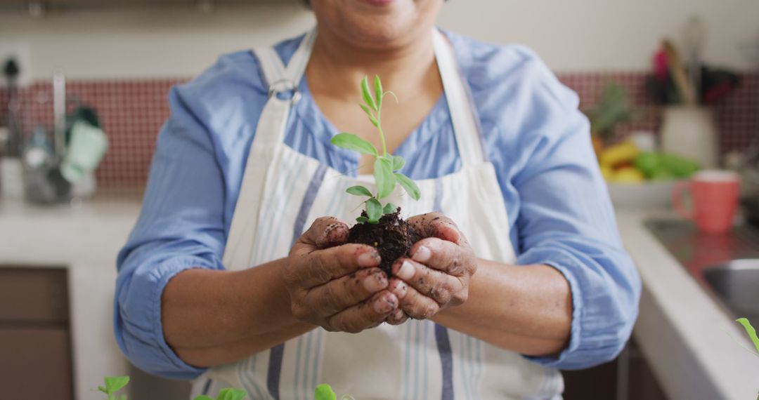 Mid section of asian senior woman holding a plant sampling at home - Free Images, Stock Photos and Pictures on Pikwizard.com