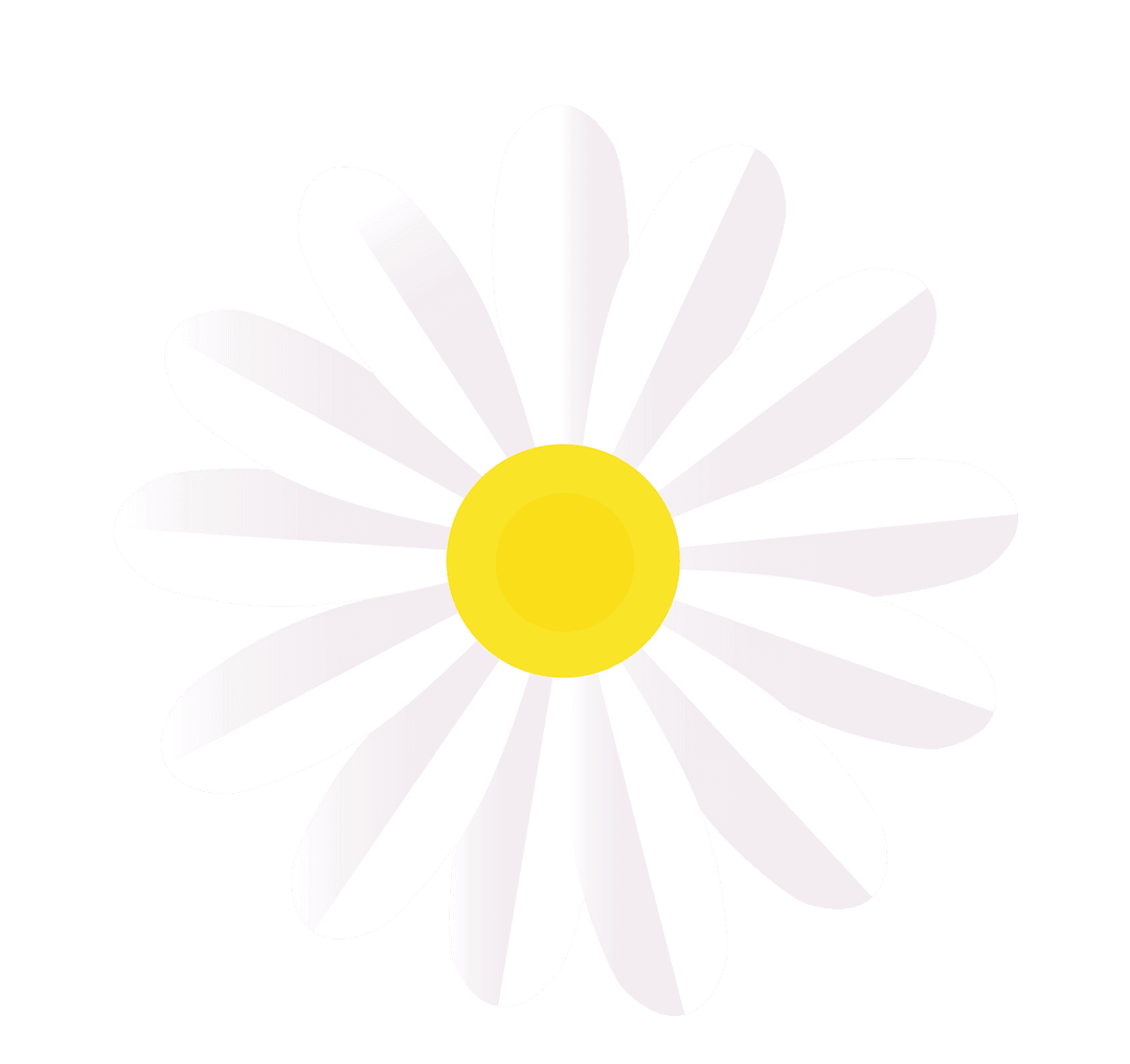 Minimalistic Daisy Illustration on Transparent Background