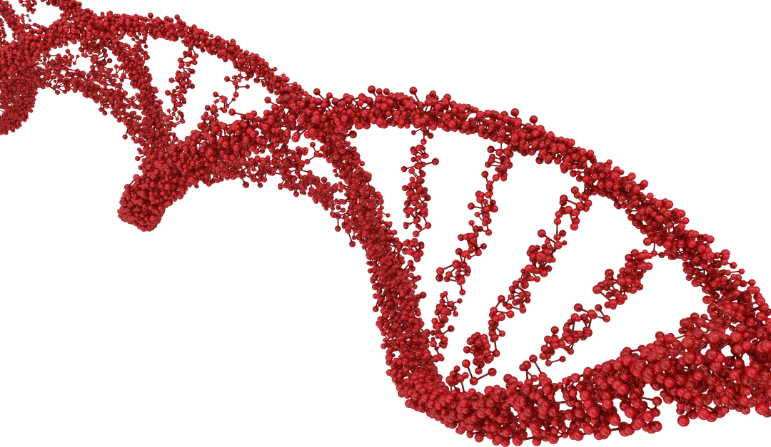 Transparent Red DNA Strand for Genetics Research Concepts