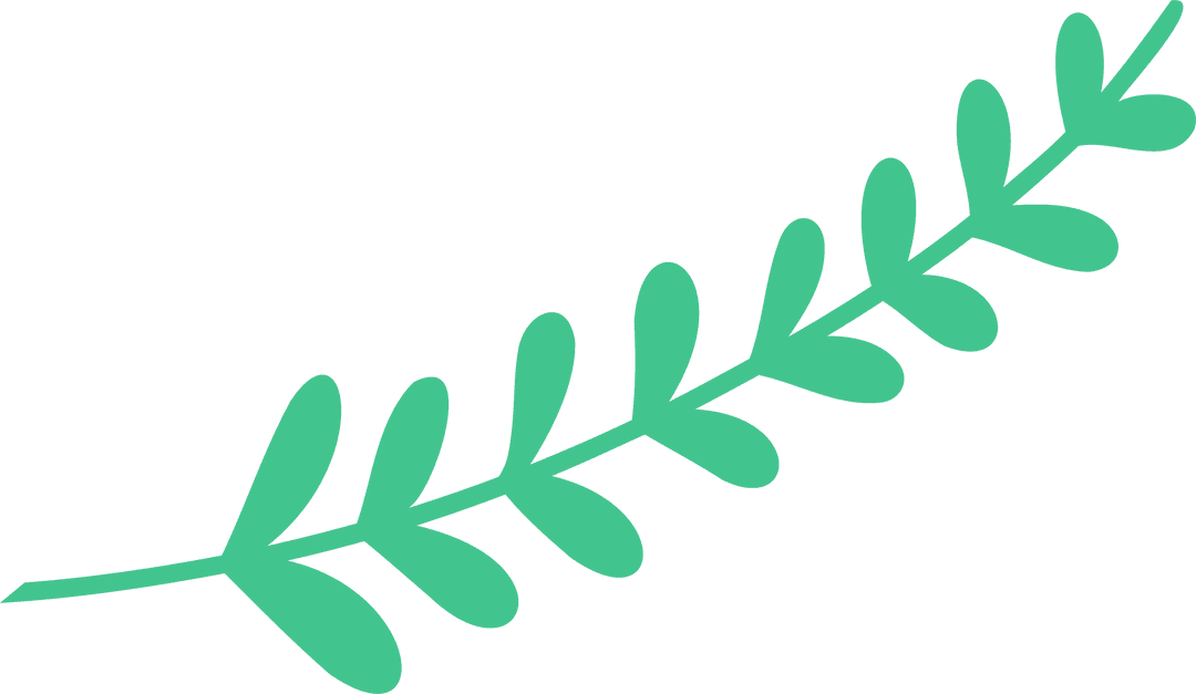 Mint Green Branch Vector with Transparent Leaf Design