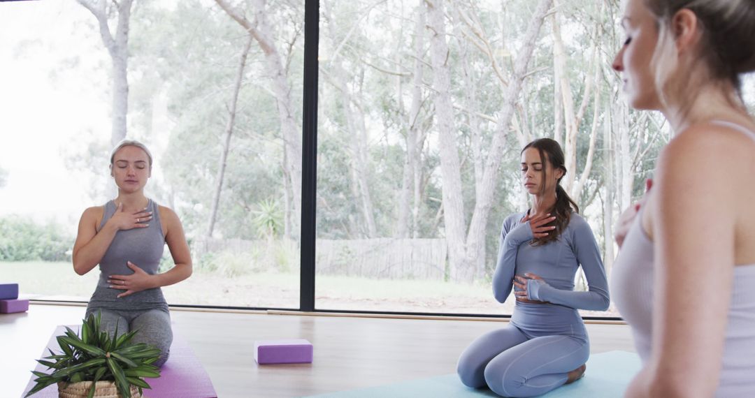 Women Practicing Meditation in Yoga Studio with Focus and Calm - Free Images, Stock Photos and Pictures on Pikwizard.com